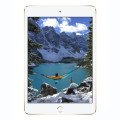 iPad mini 4 / 5